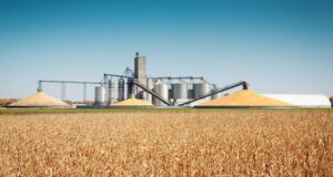 industrie agroalimentaire